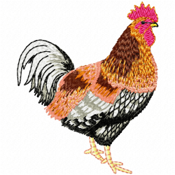 Chickens And Roosters Embroidery Design 3 Chickens And Roosters Embroidery Design 3